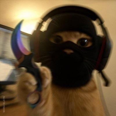 ero_eth avatar