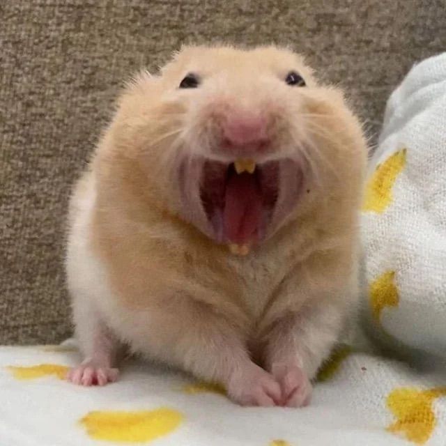 ggswvw