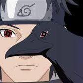 popaIko