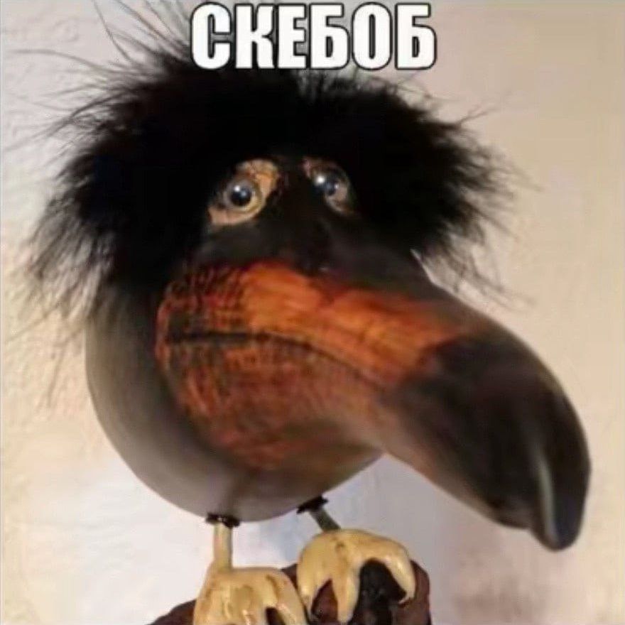 Shelof