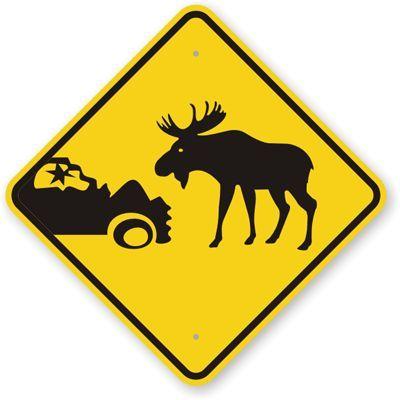 MOO5E avatar
