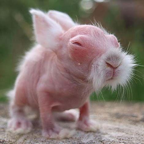 cuter4zz1e avatar