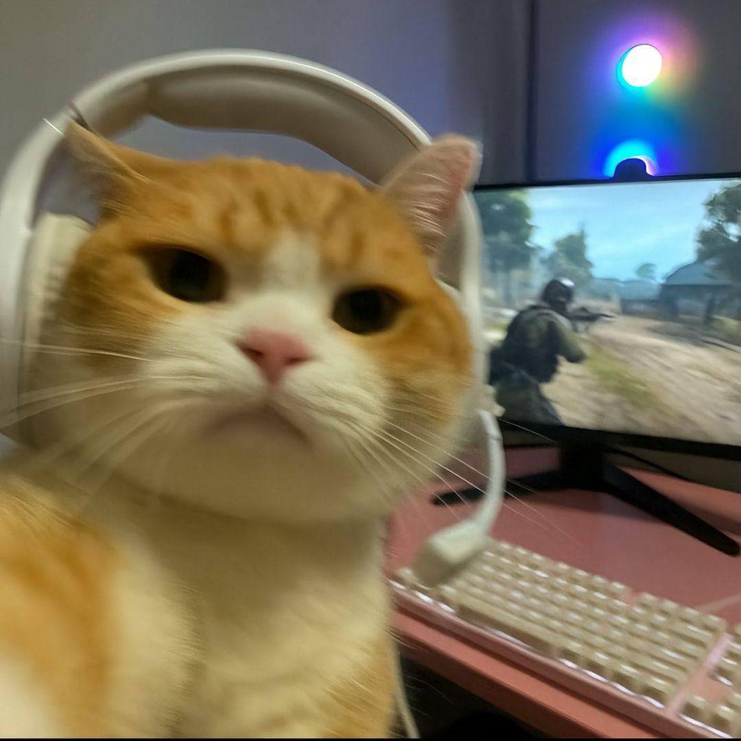 TOOSIKA avatar