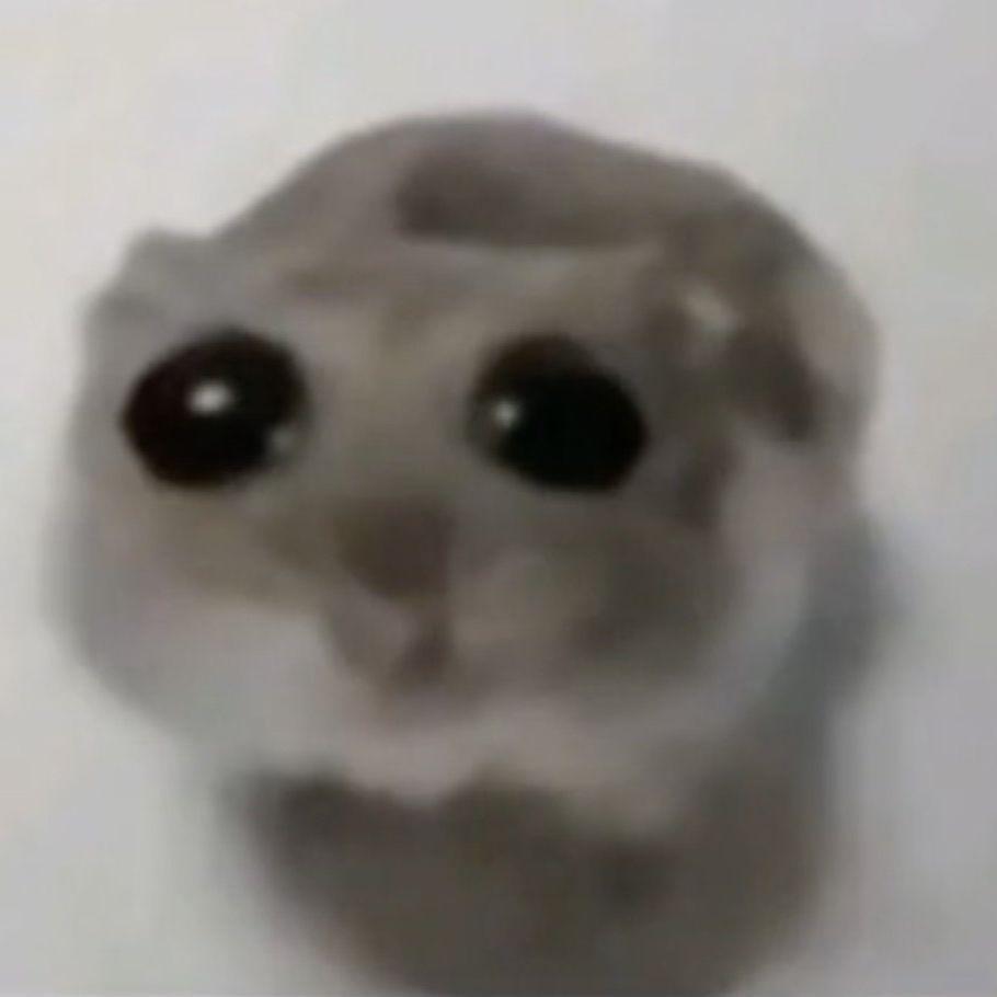 Hamster69420 avatar