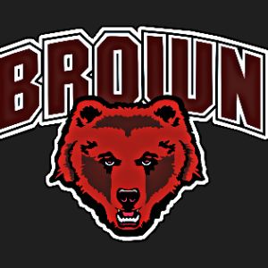 4BrownBear