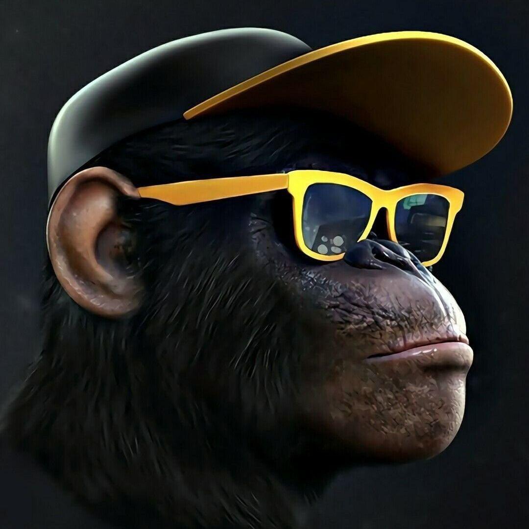URALpr avatar