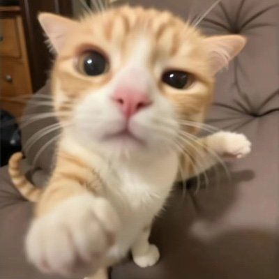 Tydaz avatar