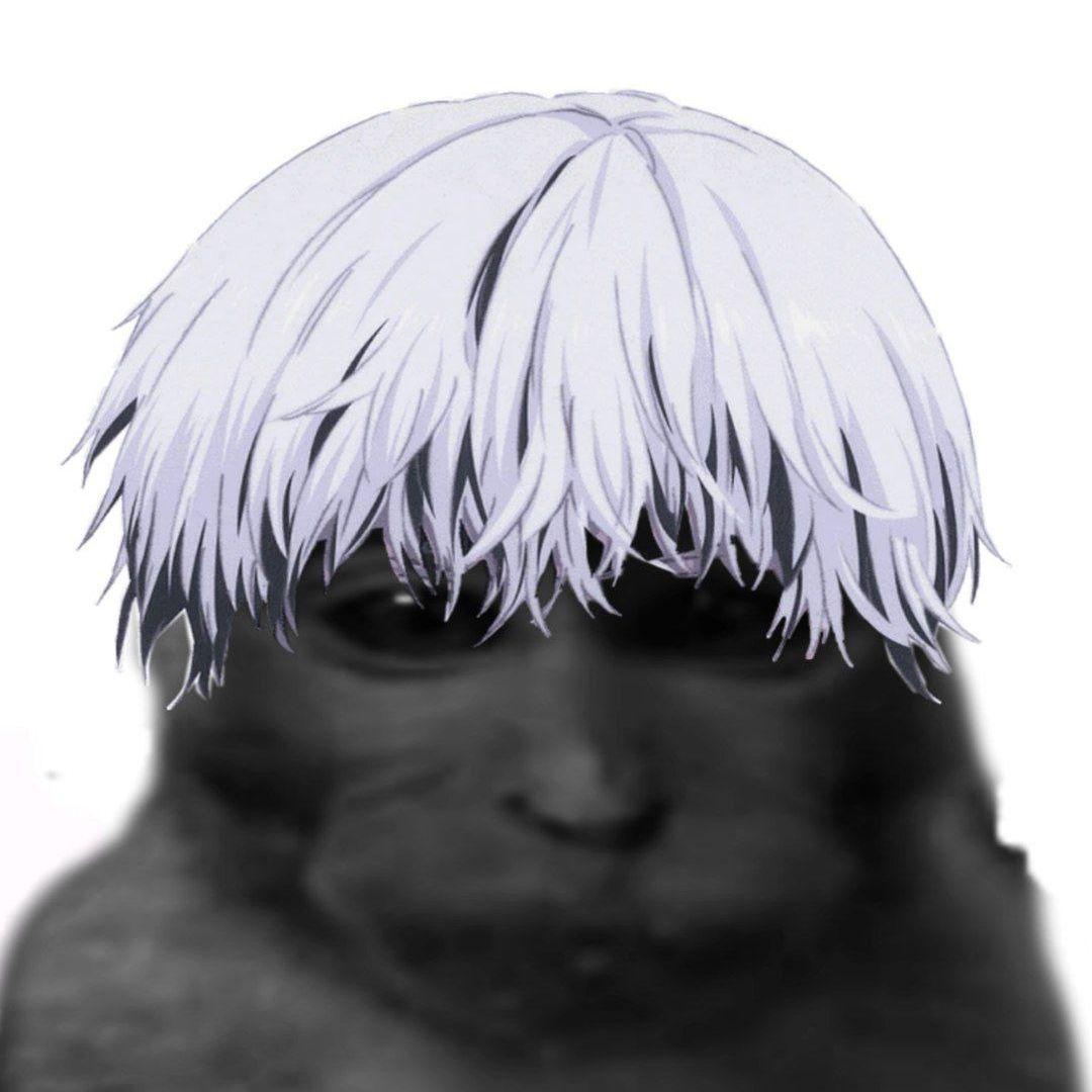 gecttar
