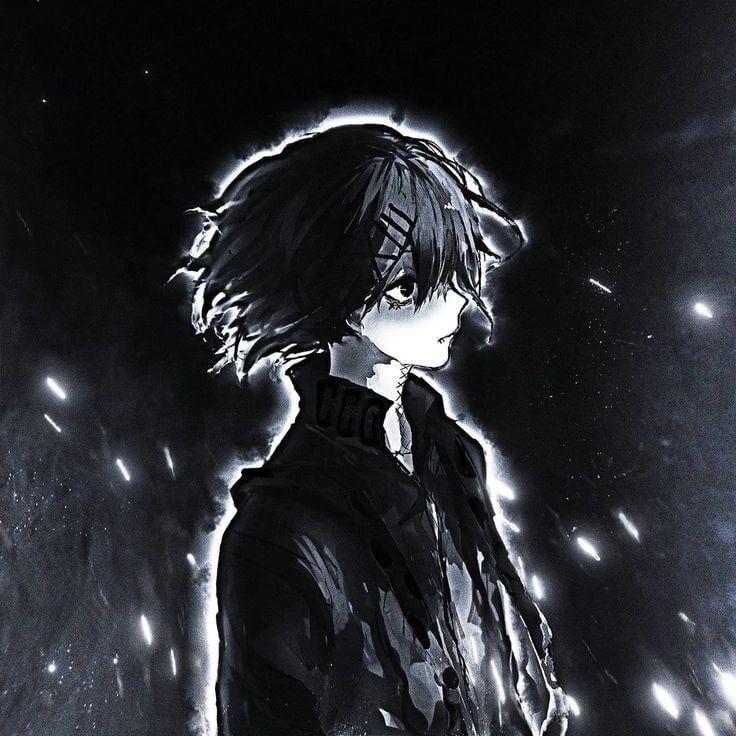 agrifoglio avatar