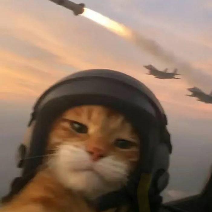 Faceit avatar