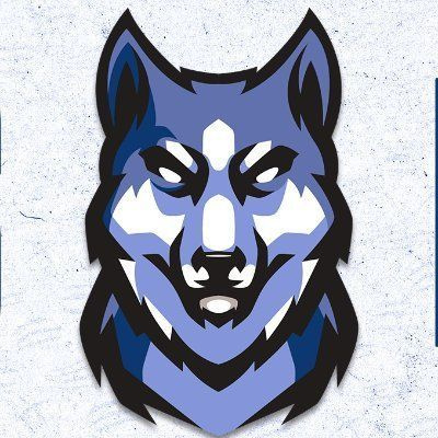 Huskies Esport