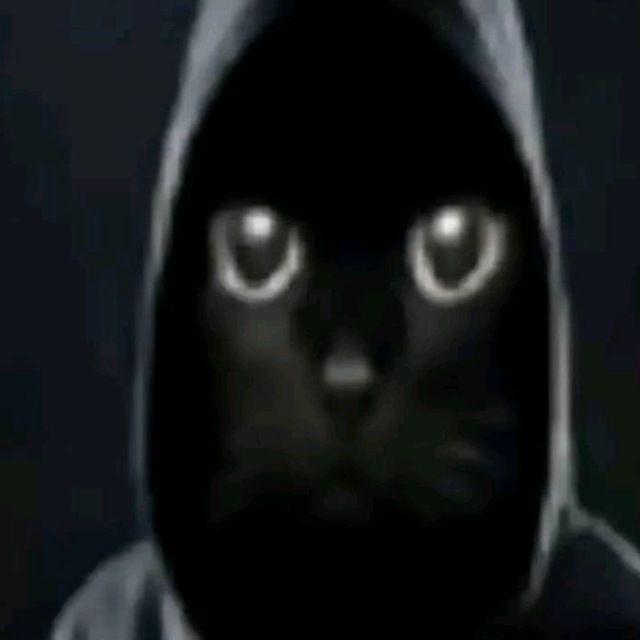 ymnmn avatar