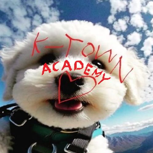 K-Town Academy