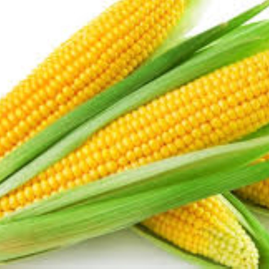 cornchrist
