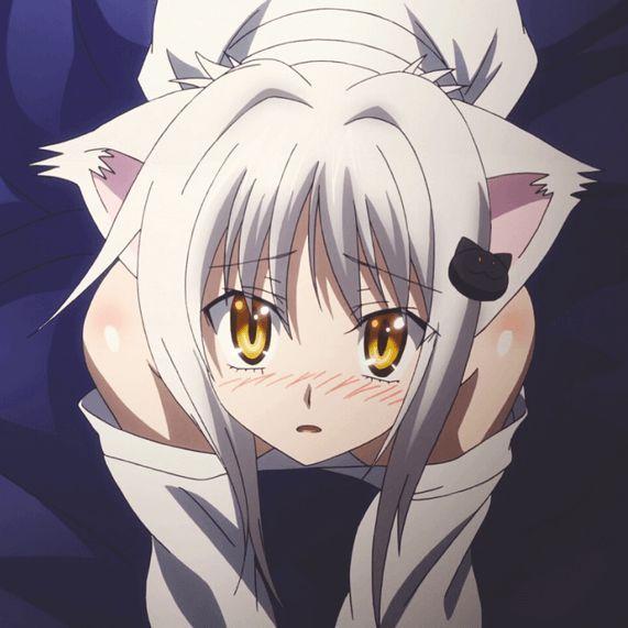 MartinsKlavs avatar