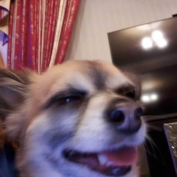 YaBoiBlue