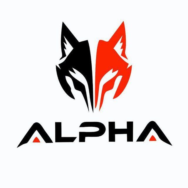 TeamALPHA