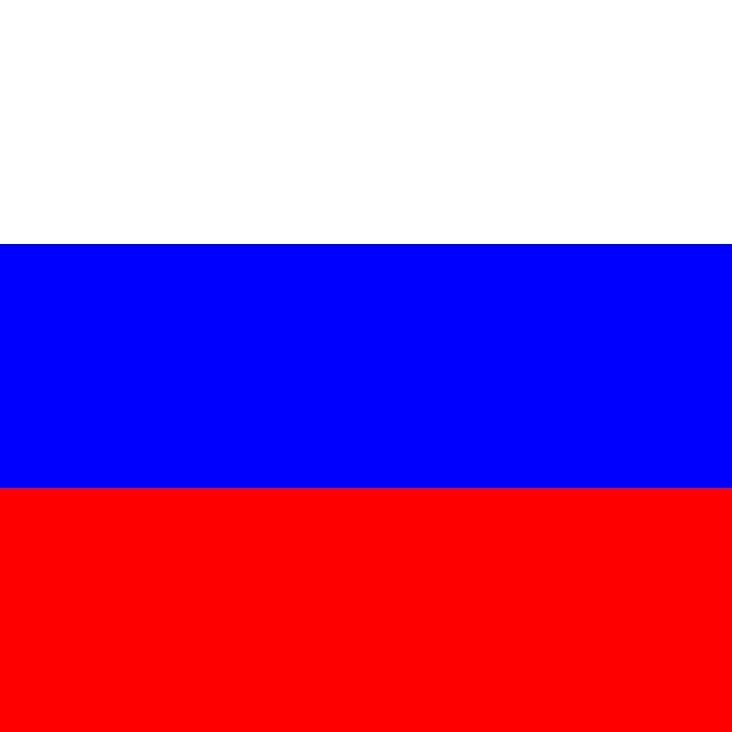256 русский. Флаг Словакии 1939-1945. Флаг России 1992 года. Флаг России белый синий красный. Флаг России 1994 года.
