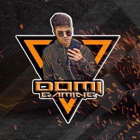 Domigamin avatar