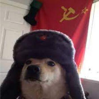 R4NGER4611 avatar