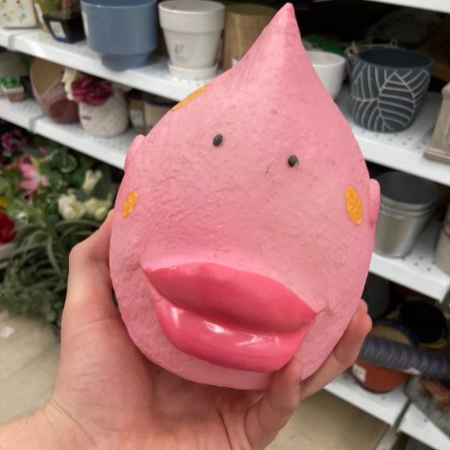 r0meo
