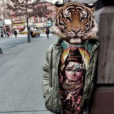 leopard_wfon