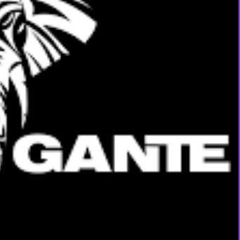 -GANTEE avatar