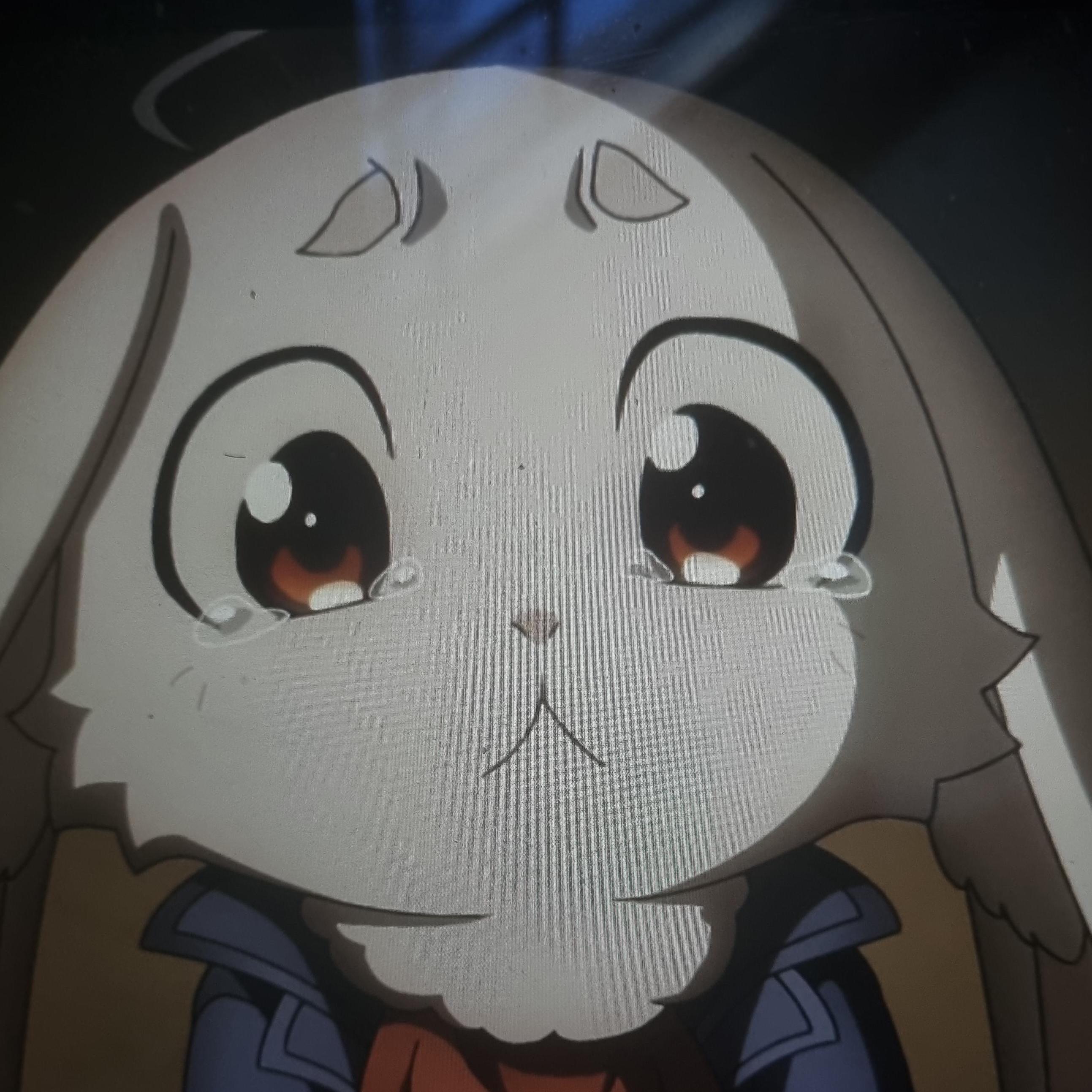 eboN avatar