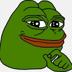 Nebust3r1 avatar