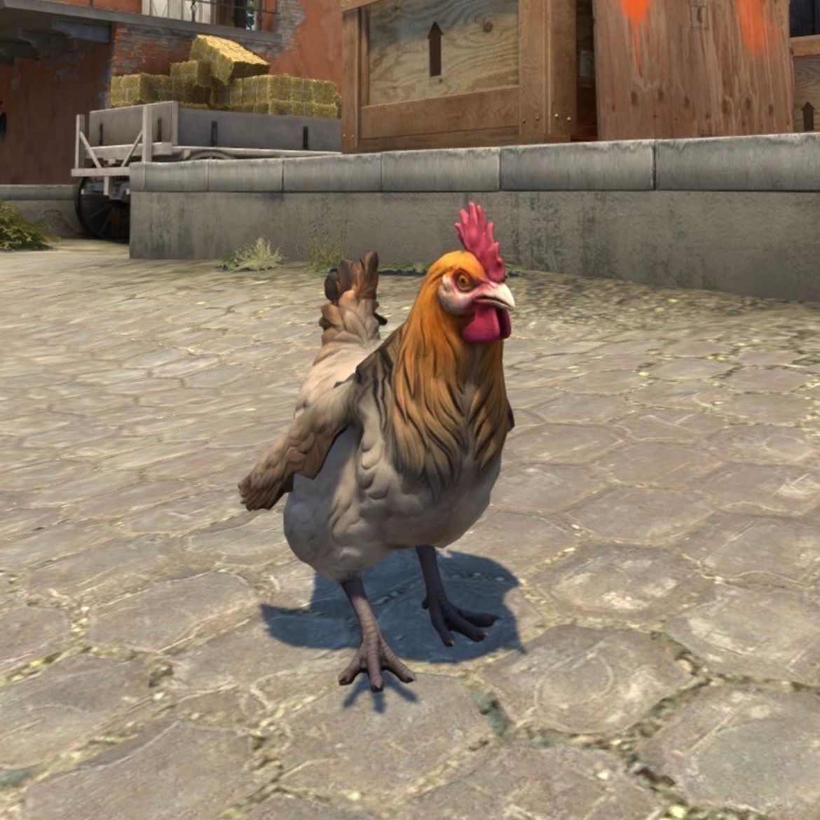 a1ex_ FACEIT avatar