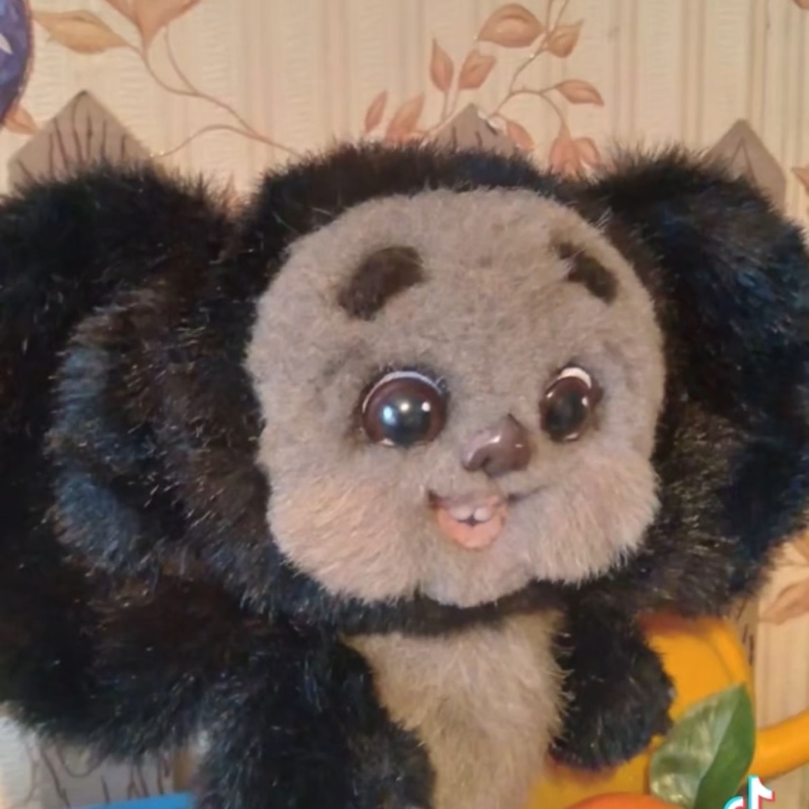 hvgubvuvfyt avatar