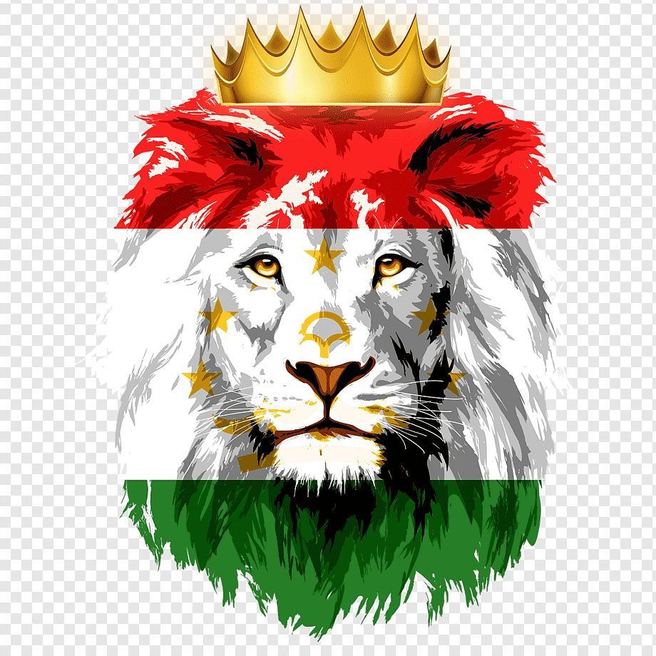 team__FB_01