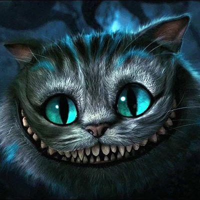 GABI-ZONE avatar
