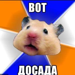 Player VotDasada avatar