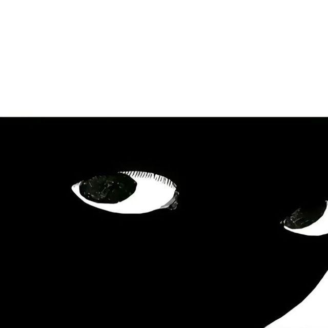 PICME_SUNEX avatar