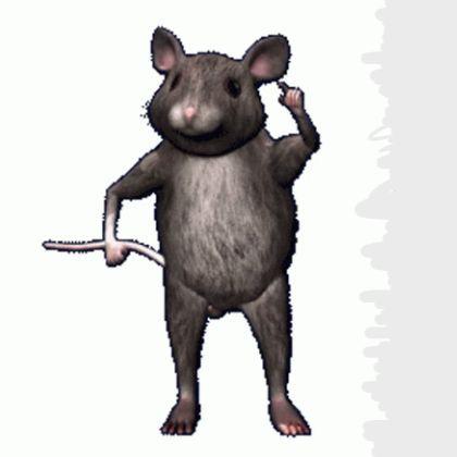 brateji avatar