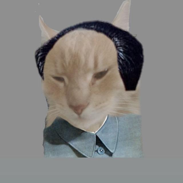 t1k0o avatar