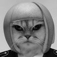haensN avatar