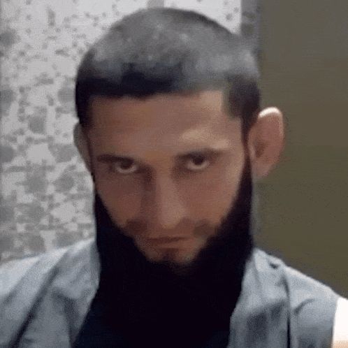 team_stivexyis