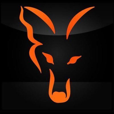 FASZT_FOX FACEIT avatar