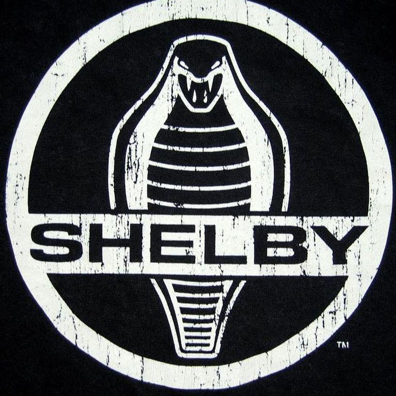SHELBI_7 avatar