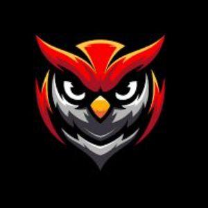 OWL_lol avatar