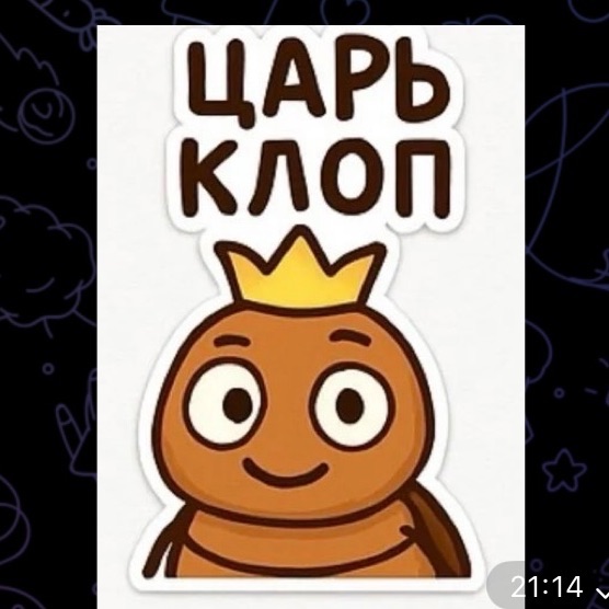Leonidzzz228
