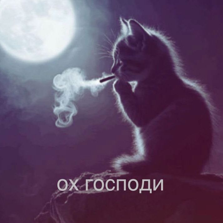 team_trepy0
