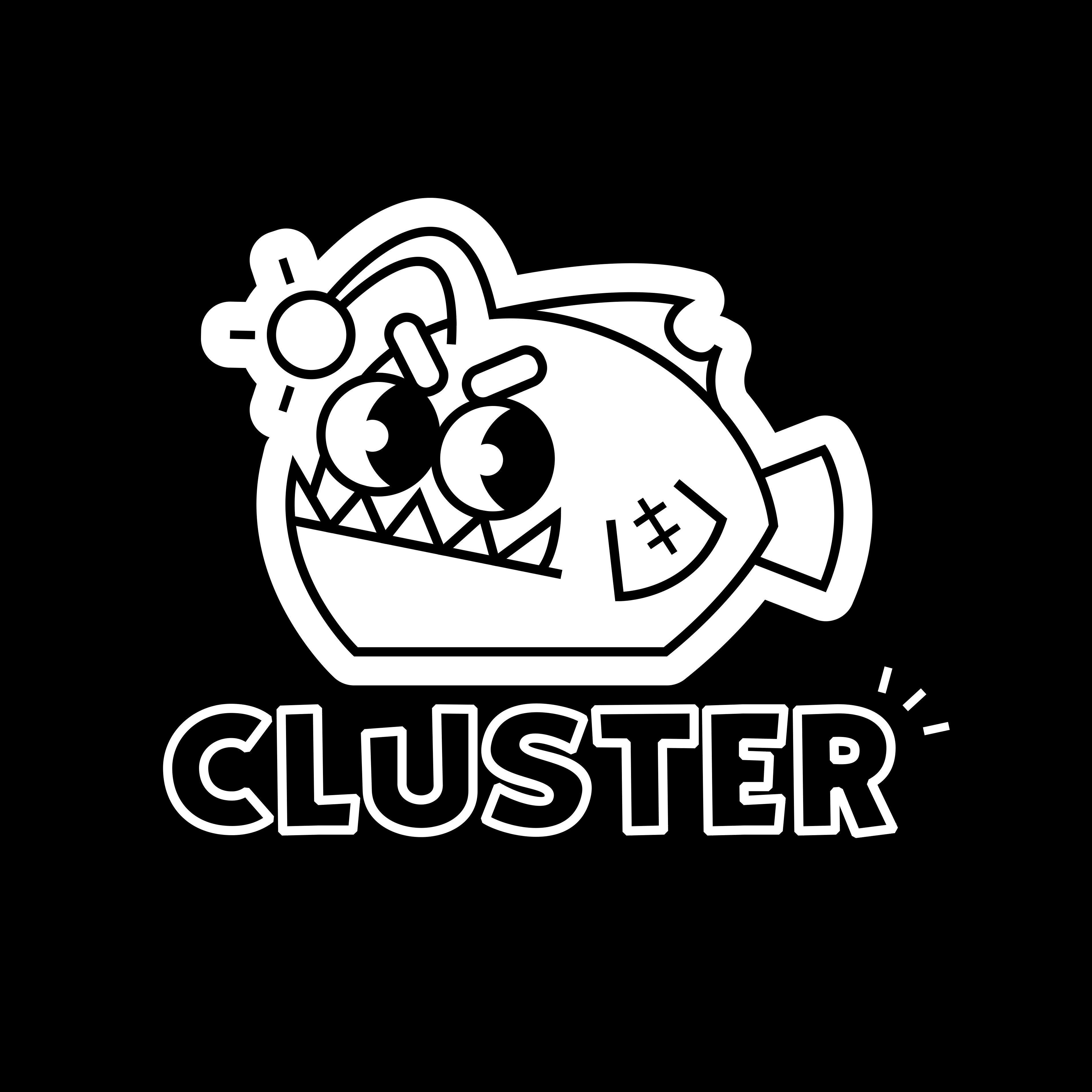 CLUSTER___ avatar