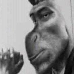 diorty2 avatar