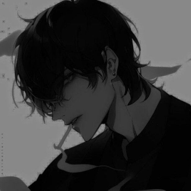 NoLight-