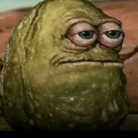 zavielll