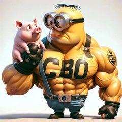 OLDISevaelc avatar
