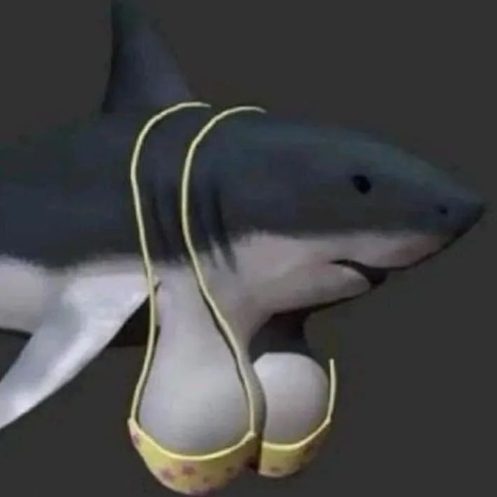 CLS_SharkTit